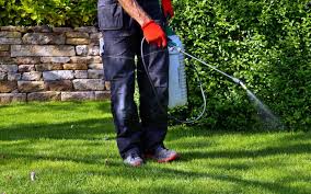 Newcastle Pest Control Near Me | Pest Control Newcastle | Ozpest Solutions